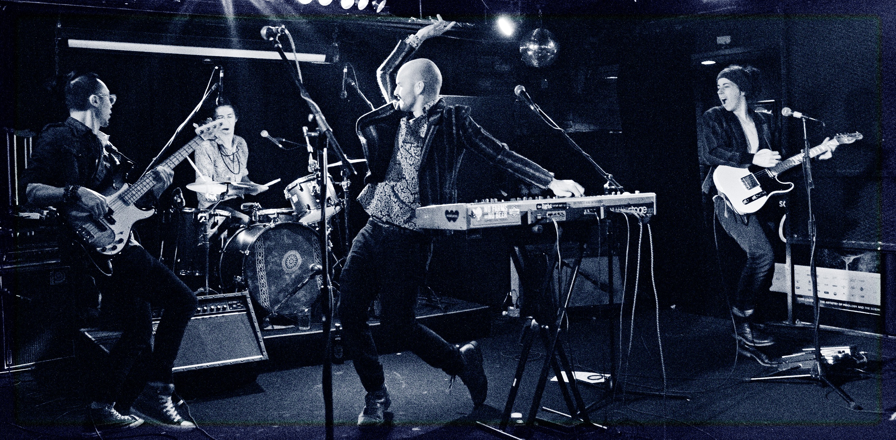 The Honky Cat band performing live