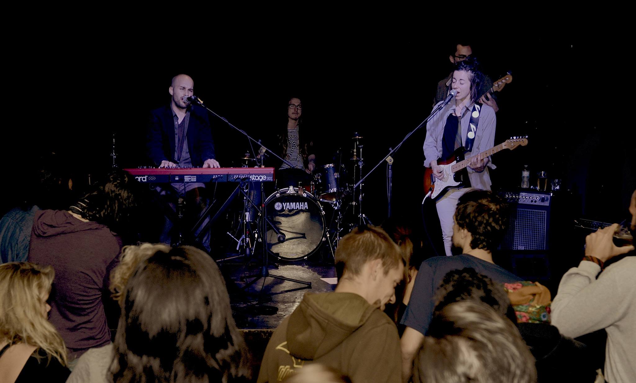 The Honky Cat performing live