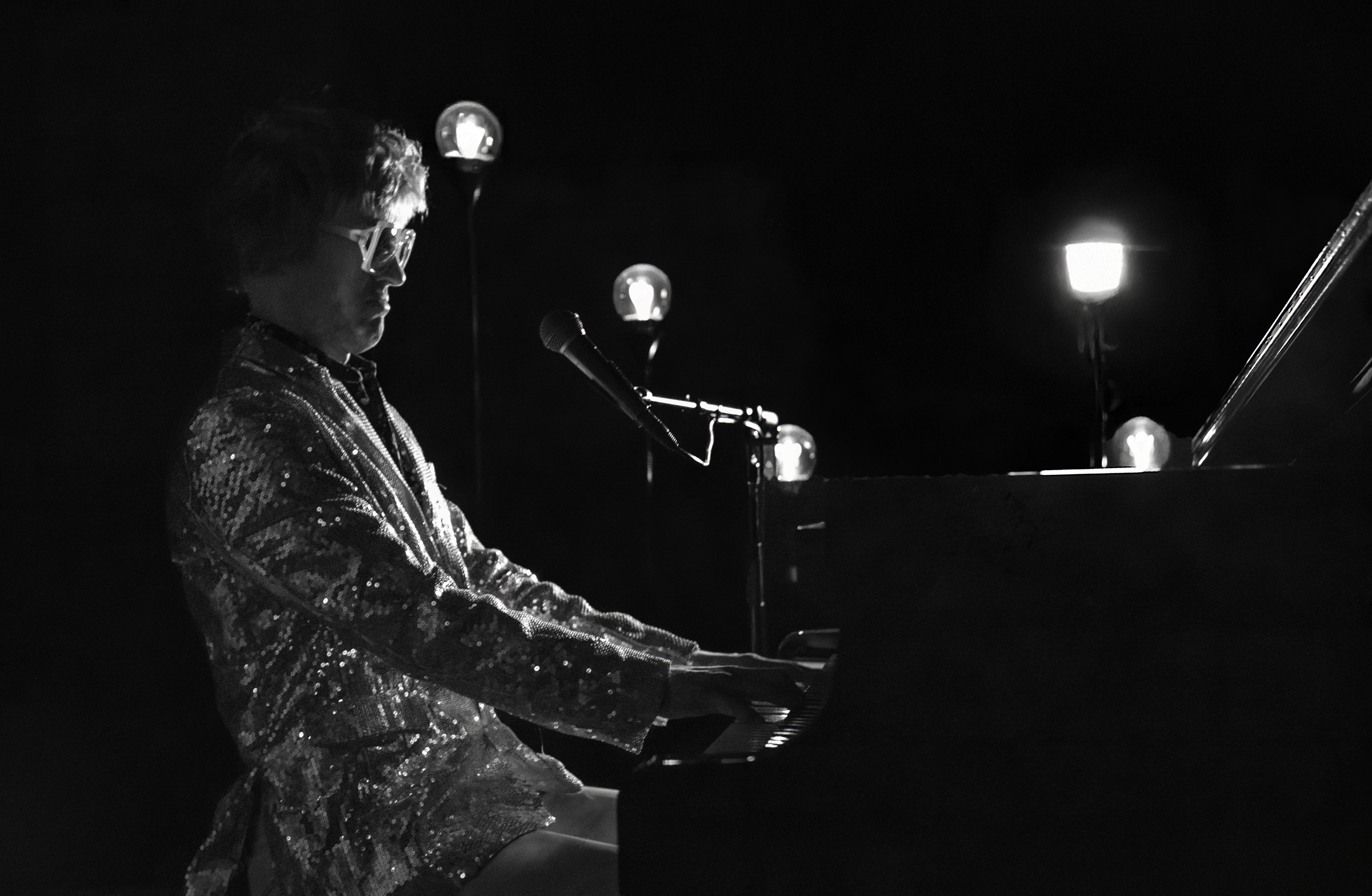 The Honky Cat concert performance